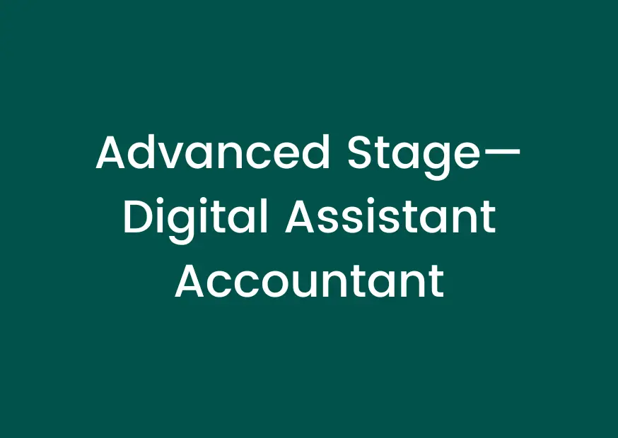Digital Assistant Accountant